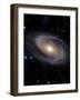 Messier 81-Stocktrek Images-Framed Premium Photographic Print