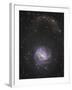 Messier 83 and its Northern Stellar Tidal Stream-null-Framed Photographic Print