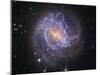 Messier 83, the Southern Pinwheel Galaxy-Stocktrek Images-Mounted Photographic Print