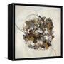 Messy Ball-Kari Taylor-Framed Stretched Canvas