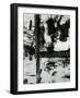 Metal Abrasion, c. 1970-Brett Weston-Framed Photographic Print