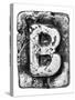 Metal Alloy Alphabet Letter B-donatas1205-Stretched Canvas