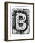 Metal Alloy Alphabet Letter B-donatas1205-Framed Art Print