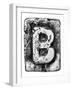 Metal Alloy Alphabet Letter B-donatas1205-Framed Art Print