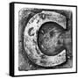 Metal Alloy Alphabet Letter C-donatas1205-Framed Stretched Canvas