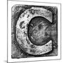 Metal Alloy Alphabet Letter C-donatas1205-Mounted Premium Giclee Print