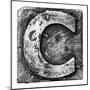 Metal Alloy Alphabet Letter C-donatas1205-Mounted Art Print