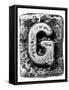 Metal Alloy Alphabet Letter G-donatas1205-Framed Stretched Canvas