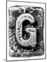 Metal Alloy Alphabet Letter G-donatas1205-Mounted Art Print