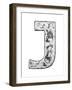 Metal Alloy Alphabet Letter J-donatas1205-Framed Art Print