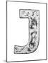 Metal Alloy Alphabet Letter J-donatas1205-Mounted Art Print