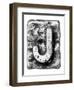 Metal Alloy Alphabet Letter J-donatas1205-Framed Art Print