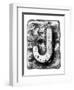 Metal Alloy Alphabet Letter J-donatas1205-Framed Art Print