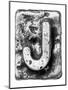 Metal Alloy Alphabet Letter J-donatas1205-Mounted Art Print