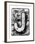 Metal Alloy Alphabet Letter J-donatas1205-Framed Art Print