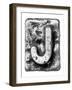 Metal Alloy Alphabet Letter J-donatas1205-Framed Art Print
