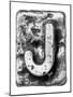 Metal Alloy Alphabet Letter J-donatas1205-Mounted Art Print