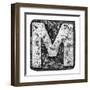 Metal Alloy Alphabet Letter M-donatas1205-Framed Art Print