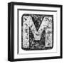 Metal Alloy Alphabet Letter M-donatas1205-Framed Art Print