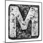 Metal Alloy Alphabet Letter M-donatas1205-Mounted Art Print