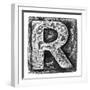 Metal Alloy Alphabet Letter R-donatas1205-Framed Premium Giclee Print