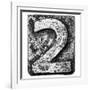 Metal Alloy Alphabet Number 2-donatas1205-Framed Art Print