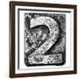 Metal Alloy Alphabet Number 2-donatas1205-Framed Art Print