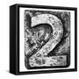 Metal Alloy Alphabet Number 2-donatas1205-Framed Stretched Canvas