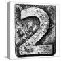 Metal Alloy Alphabet Number 2-donatas1205-Stretched Canvas