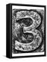 Metal Alloy Alphabet Number 3-donatas1205-Framed Stretched Canvas