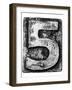 Metal Alloy Alphabet Number 5-donatas1205-Framed Art Print