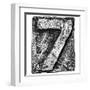 Metal Alloy Alphabet Number 7-donatas1205-Framed Art Print
