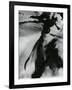 Metal and Paint, 1976-Brett Weston-Framed Photographic Print