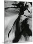 Metal and Paint, 1976-Brett Weston-Mounted Photographic Print