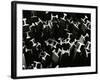 Metal Beams, Industrial, c. 1970-Brett Weston-Framed Photographic Print