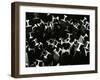 Metal Beams, Industrial, c. 1970-Brett Weston-Framed Photographic Print