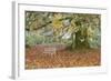 Metal Bench under Maple Tree, Quinault, Washington, USA-Jaynes Gallery-Framed Photographic Print