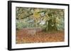 Metal Bench under Maple Tree, Quinault, Washington, USA-Jaynes Gallery-Framed Photographic Print