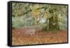 Metal Bench under Maple Tree, Quinault, Washington, USA-Jaynes Gallery-Framed Stretched Canvas