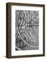 Metal bicycle wheels.-Cindy Miller Hopkins-Framed Photographic Print