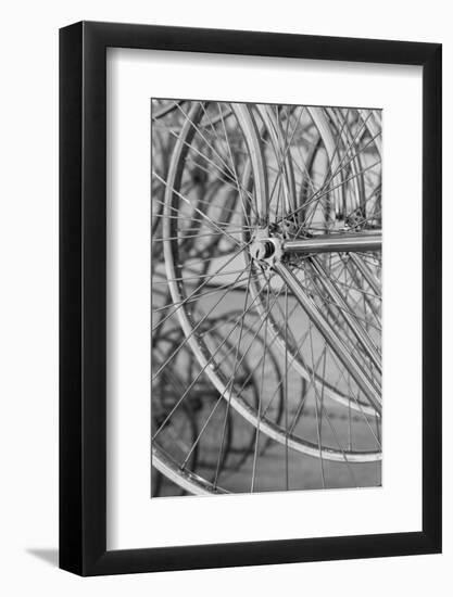 Metal bicycle wheels.-Cindy Miller Hopkins-Framed Photographic Print