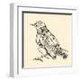 Metal Bird.-RYGER-Framed Art Print