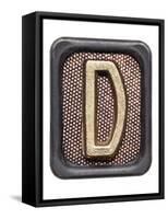 Metal Button Alphabet Letter D-donatas1205-Framed Stretched Canvas