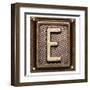 Metal Button Alphabet Letter E-donatas1205-Framed Art Print