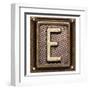 Metal Button Alphabet Letter E-donatas1205-Framed Art Print