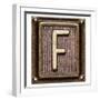 Metal Button Alphabet Letter F-donatas1205-Framed Premium Giclee Print