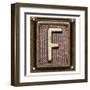 Metal Button Alphabet Letter F-donatas1205-Framed Art Print