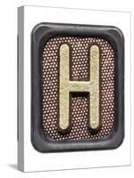 Metal Button Alphabet Letter H-donatas1205-Stretched Canvas