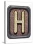 Metal Button Alphabet Letter H-donatas1205-Stretched Canvas