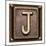 Metal Button Alphabet Letter J-donatas1205-Mounted Art Print